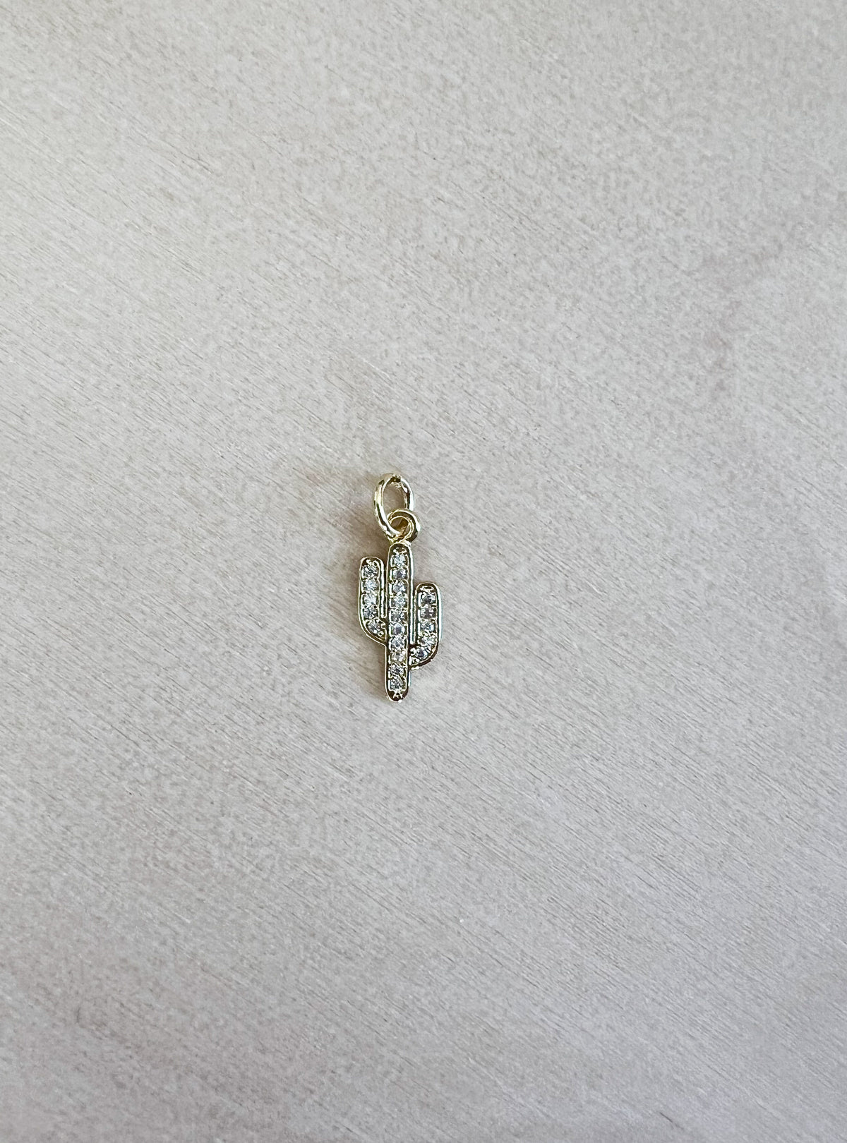 Cactus Charm