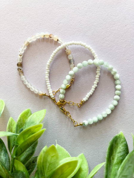 Bundle 6